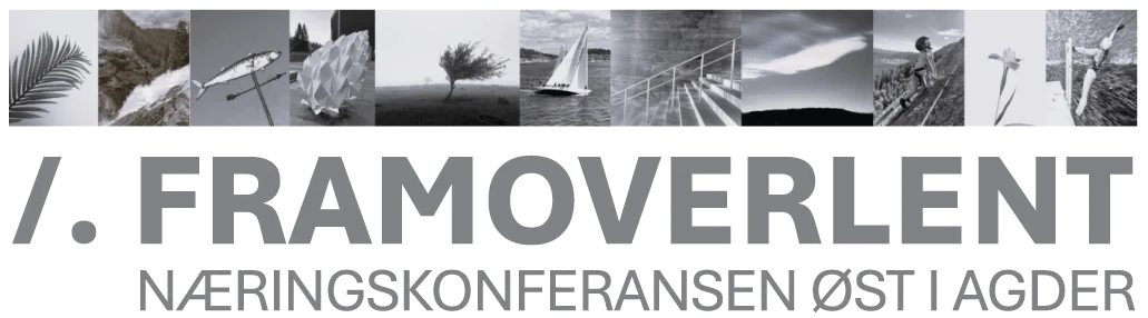 Framoverlent - 2025